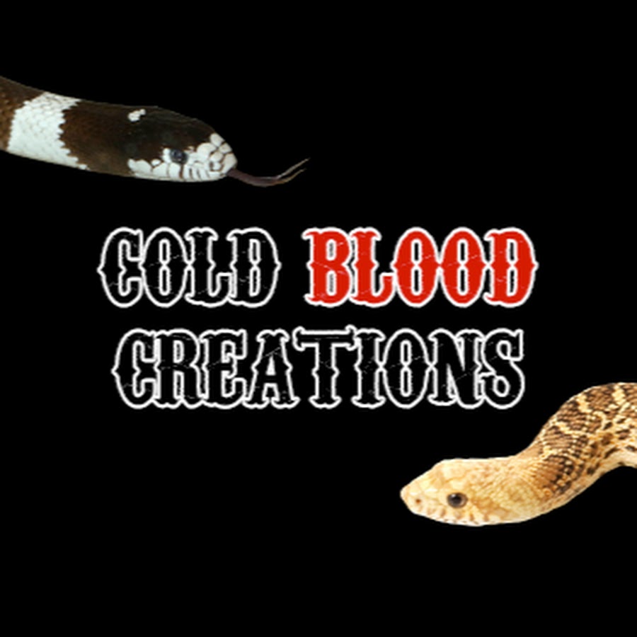 Cold Blood Creations @ColdBloodCreations