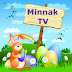 Minnak TV