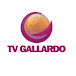 TV GALLARDO