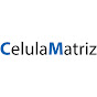 Celula Matriz