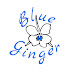 Blue Ginger