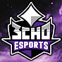 3CH0 Esports