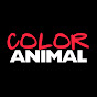 Color Animal