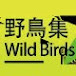 Wild Birds