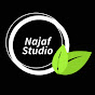 Najaf Studio