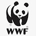 logo WWF Armenia