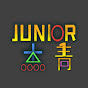 Junior杰青