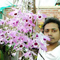 Sandip Orchid