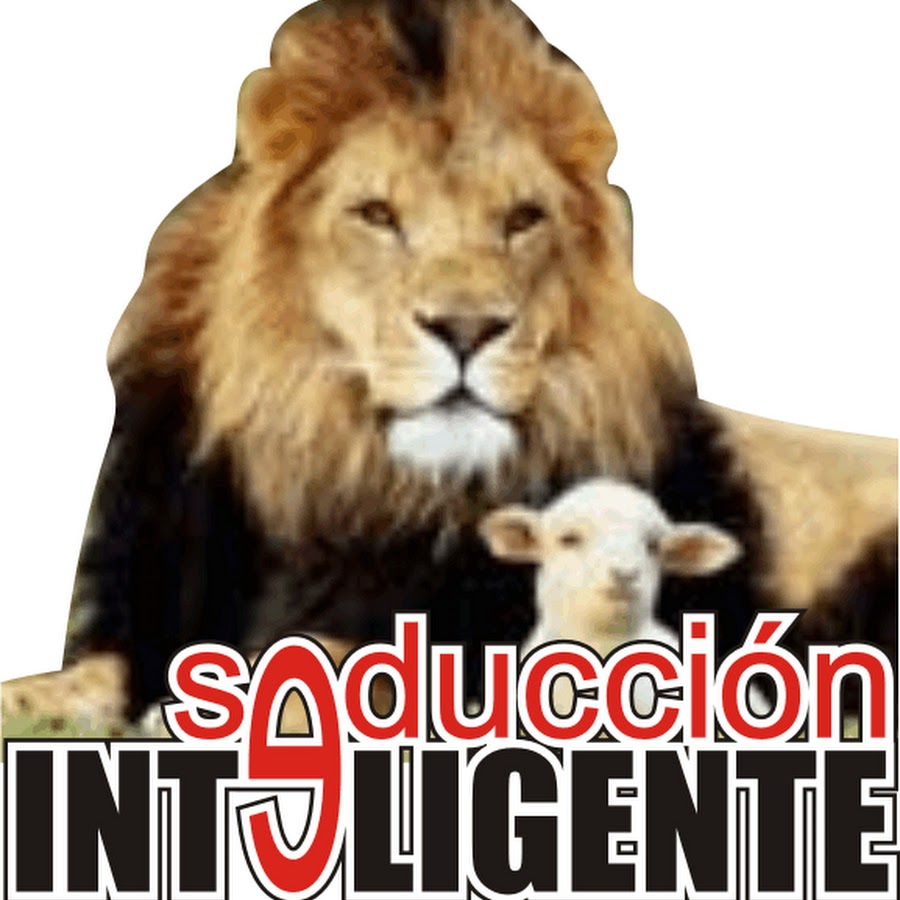 www.youtube.com