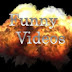 Funny Videos