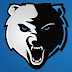 BVC BEARS