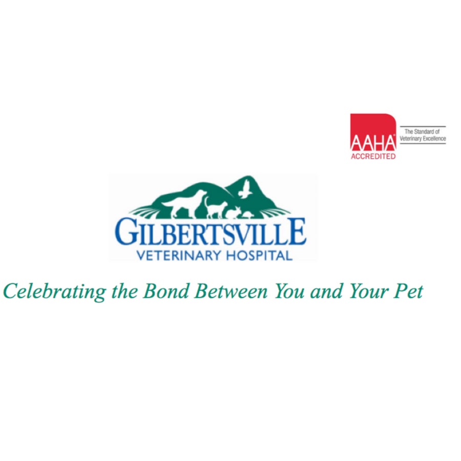 Gilbertsville Veterinary Hospital