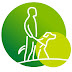 logo Irish Guide Dogs for the Blind