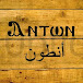 Anton Shady