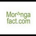 logo MoringaFact