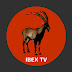 Ibex Nostalgia