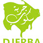 Djerba Scoop