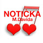 Notička Michala Davida