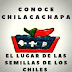 Conoce Chilacachapa