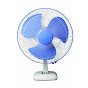 Fan Pann