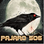 Pajaro 506