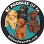 KC Poodles of PA