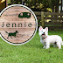 Jennie Dogrun & Village