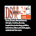 logo DSMEDIA24