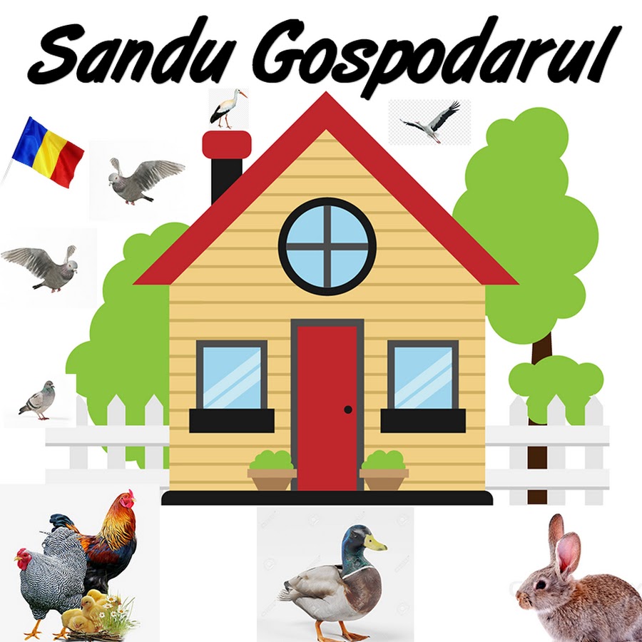 Sandu Gospodarul @sandugospodarul