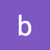logo bibigon542009
