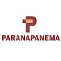 Paranapanema S. A.