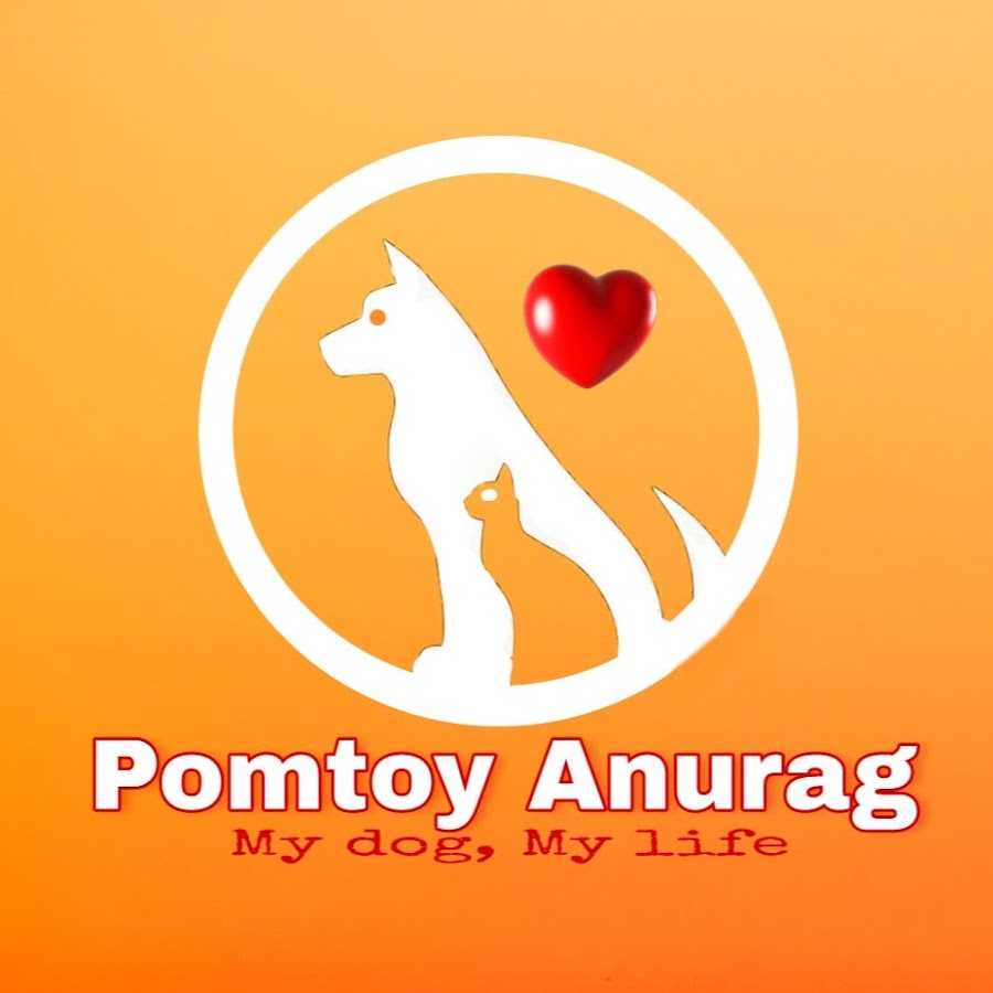 Pomtoy Anurag