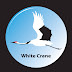 White Crane Aquarium