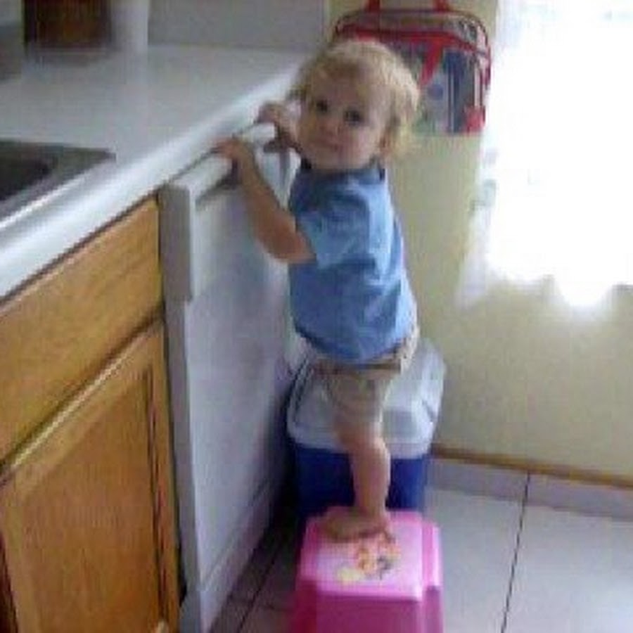 Josephine Foster chords for Where there are trees