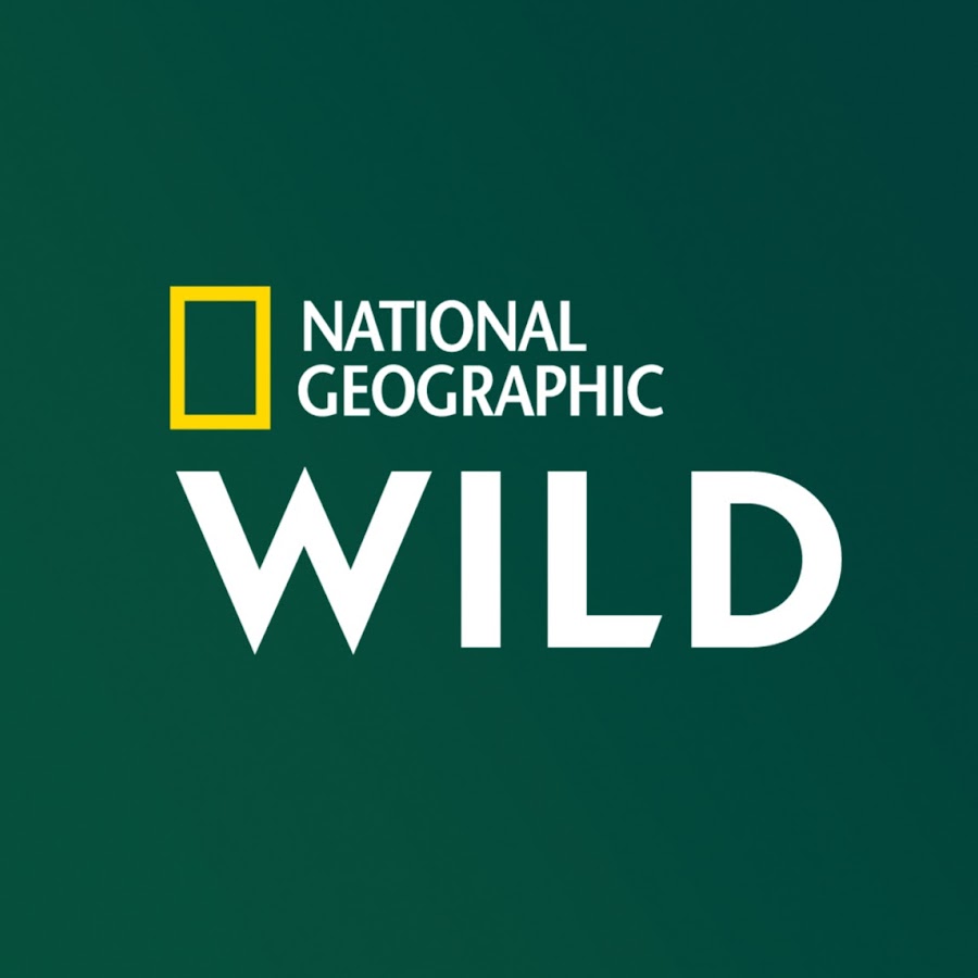 National Geographic Wild France @NatGeoWildFrance