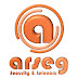 logo ARSEG SECURITY & TELECOM