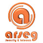 ARSEG SECURITY & TELECOM