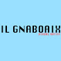 Gnaboaix