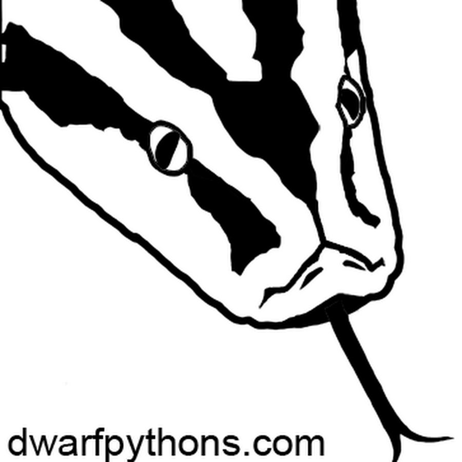 Dwarfpythons com youtube