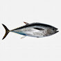 Australian Southern Bluefin Tuna Industry Association