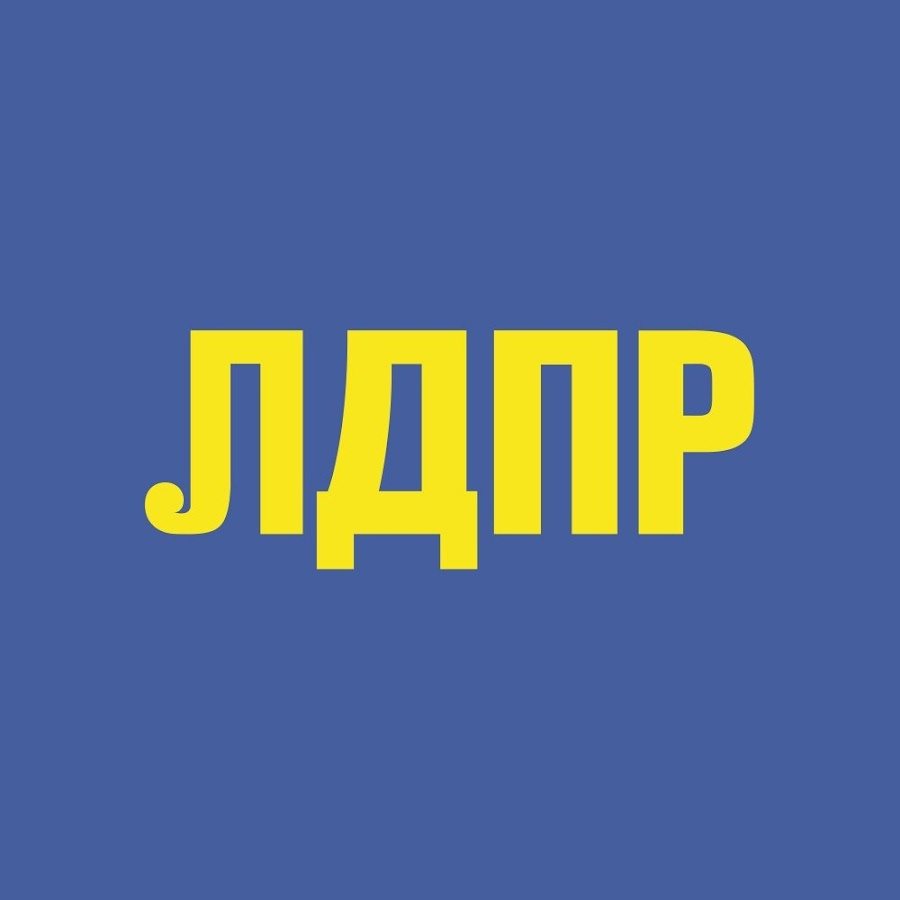 Лдпр деятельность партии примеры