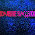 logo Домашние Самоделки