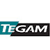 logo TEGAM