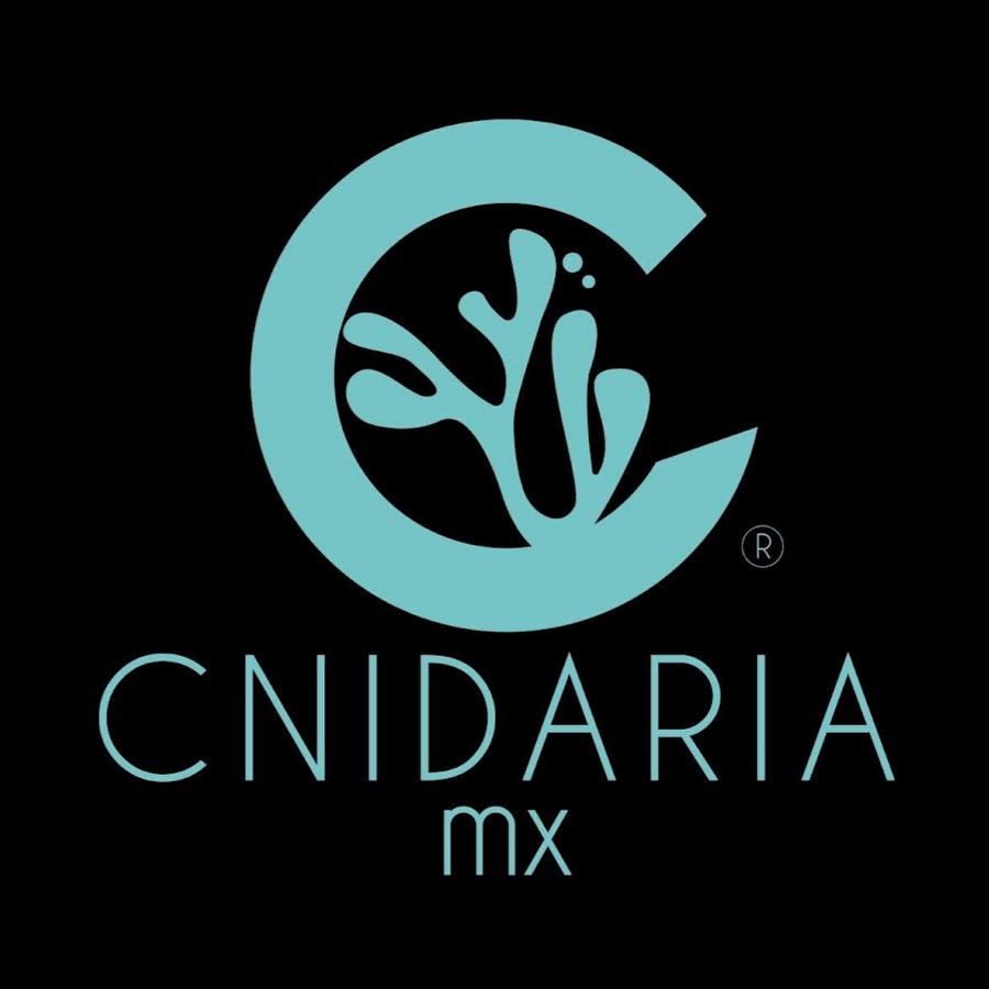 Cnidaria Mx