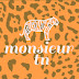 logo monsieur tn