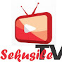 Sekusile TV