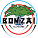 Bonzai All Stars