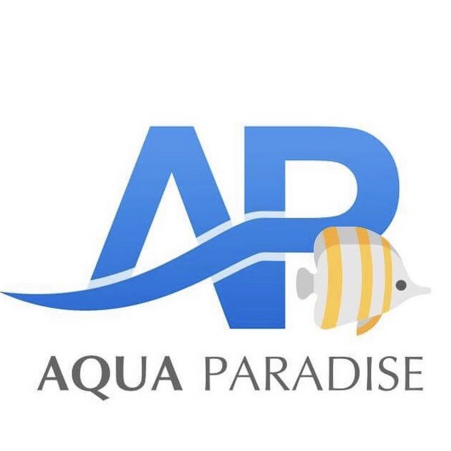 Aqua Paradise - YouTube Aqua Paradise