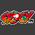 logo SpicyFPV