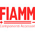 FIAMM COMPONENTI ACCESSORI - F.C.A. S.p.A.